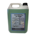 Detergente pavimenti al pino senza risciacquo Ecochem 5 lt